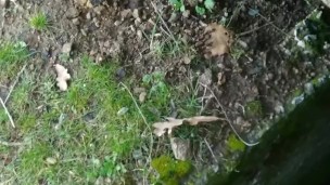 Greek Army Guy jerks off outdoor- χύνω έξω στο στρατόπεδο