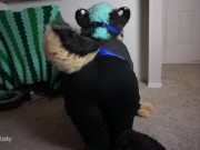 Big Titty Kitty Plays with Herself 11/16