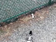 Pissing all over a shoe I found 15/16