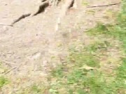 Pissing all over a shoe I found 16/16