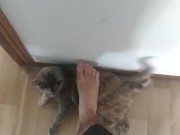 step on my own cat (she enjoy!) 14/16