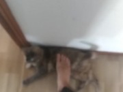 step on my own cat (she enjoy!) 5/16