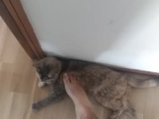 step on my own cat (she enjoy!) 7/16