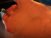 THE DICKS ARE ALIVE TO THE SOUND OF MY COCK : THE MOVIE