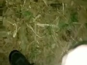 Masturbating In The Woods While Camping