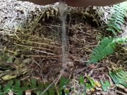 Pissing Outside in the Park 11/16