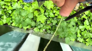Close up outdoor piss on a wall