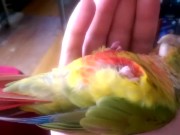 Kiwi's How to Make love Part 2