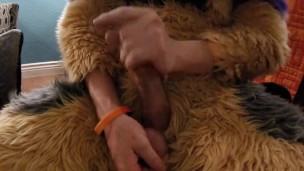 Banded Gshep Fursuiter trying to get off