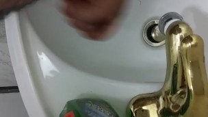 Big brown cock