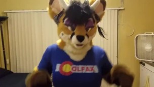 motel furry