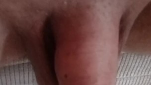 Feedback