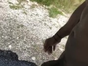 Going for a walk butt ass naked on this road
