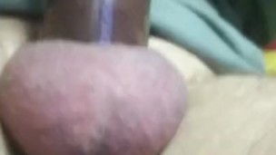 Penis Pump