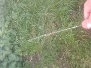 Peeing in the backyard. - Screenshot 12 of 16 - Outside