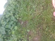Peeing in the backyard. - Screenshot 16 of 16 - HD