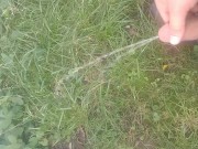 Peeing in the backyard. - Screenshot 2 of 16 - Outside
