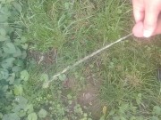 Peeing in the backyard. - Screenshot 7 of 16 - Outside