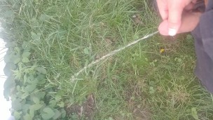 Peeing in the backyard.