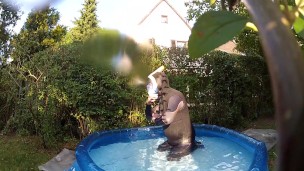 Underwater Easybreath Snorkel Dive Test with Neopren