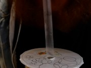 slurps up bubbly liquid 12/16