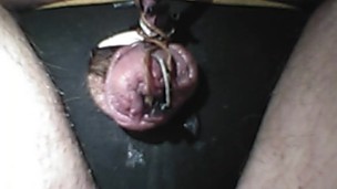 Electro torture my tiny worthless penis