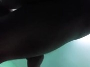 wife creampie by the cockold 1/16