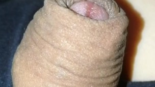 Grower slowly erects, no hands flaccid, foreskin with pre-cum drop at end.