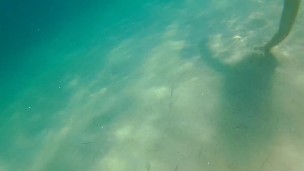Underwater Quick SEX at PUBLIC BEACH