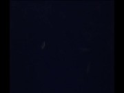 Lost Bet and Had to Suck Baseballs of Both Pitchers from Each Baseball Team 16/16