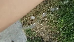 Babysitter Desperate To Pee Outside At Public Park