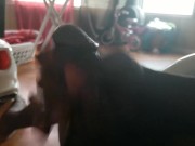 I need your fat white pussy on this black cock cum with me
