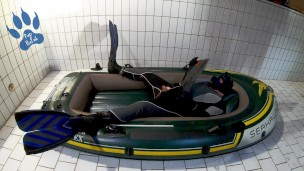 Wetsuit, Fins and Boat - geared pup pawing off