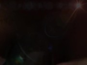 We forgot to let the dog out the room 16/16