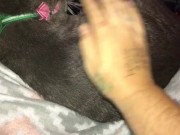Boobs Ross — petting my hairy pussy — julyathon 11