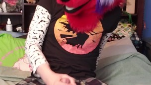 Trans Fox Cummies