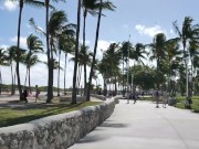 PUBLIC BEACH WACKING OFF - PREVIEW