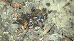 Pushing out so much cum after outdoor cruising and tasting that leaked cum