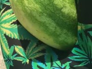 I can crack a watermelon with these thighs  8/16