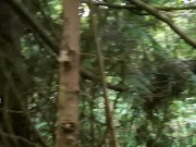 Pathway To Peedom 1/16