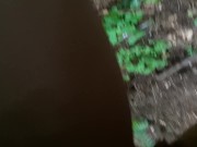 Pathway To Peedom 13/16