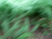 Pathway To Peedom 15/16