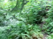 Pathway To Peedom 16/16