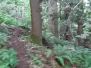 Pathway To Peedom 6/16