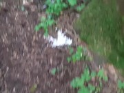 Pathway To Peedom 8/16