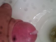 Toilet wank
