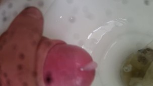 Toilet wank