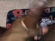 Jacking Off while talking dirty 14/16