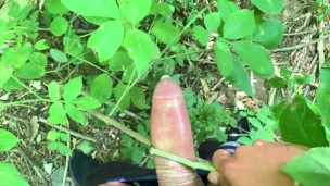 Using tree like a masturbation toy