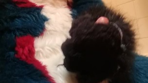 Short Fursuit Jackoff